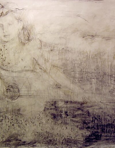 Setu näitus "Elu lugu" Draakoni galeriis, Siiri Taimla, 2006